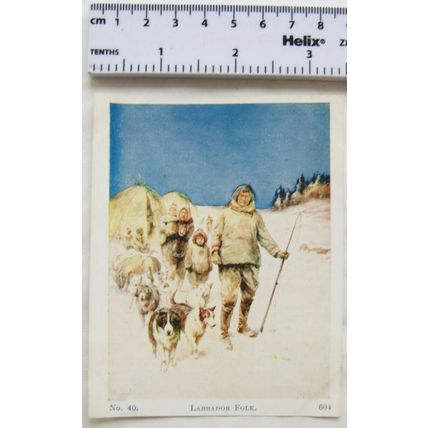 Vintage: Scholar's Lesson Picture Story No. 40 Labrador Folk