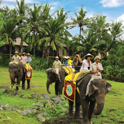 Bali Safari and Marine Park tour-Elephant Back Safari Package