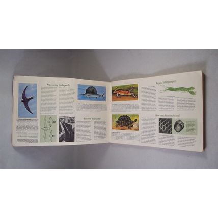 Brooke Bond Tea Card Album: 1976 Wonders of Wildlife, With All Cards