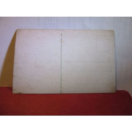 WIESBADEN, GERMANY unused antique postcard =