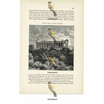 Temple Of Concord, Girgenti, Sicily, Italy, Book Illustration (Print), 1880