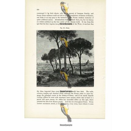 Rome, General View, Italy, Book Illustration (Print), 1880