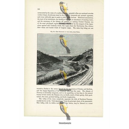 Golfolino Of The Arno, Near Signa, Italy, Book Illustration (Print), 1880