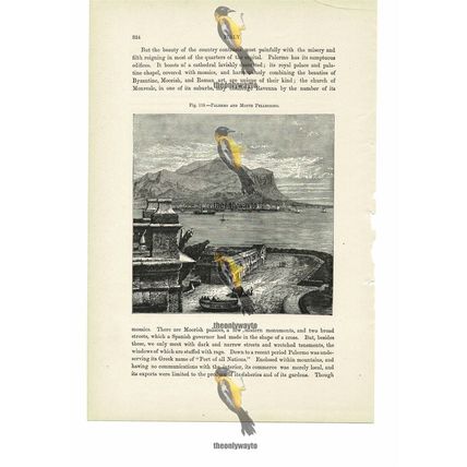 Palermo & Monte Pellegrino, General View, Italy, Book Illustration (Print), 1880