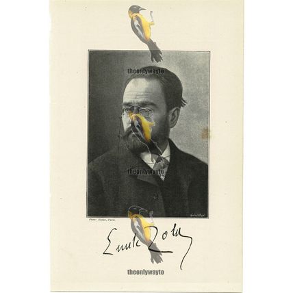 Emile Zola, Author, Book Illustration (Print), 1895