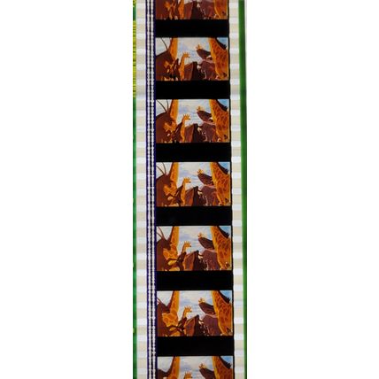 Pk GEB - P - MIX - D 0102x . 1 STRIP OF 5 - 35MM FILM CELLS. ( )