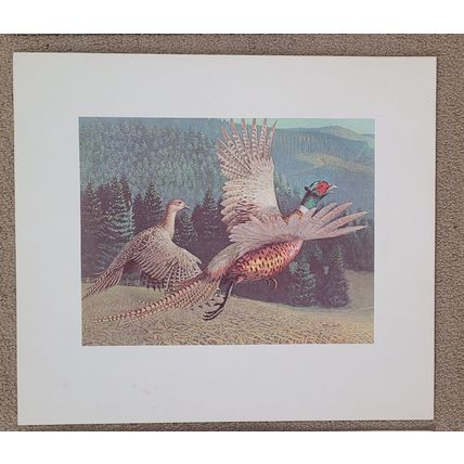 Stan Galli Pheasants 20 X 22 3/4 Weyerhaueser Wildlife 1960'S Art Print