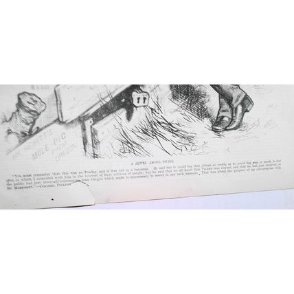 A Jewel Among Swine, by Thomas Nast. Harper's Weekly February 24, 1877