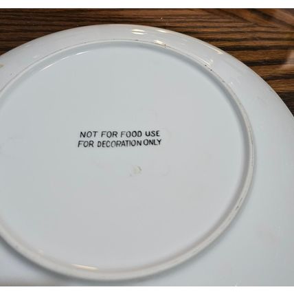 1980s OPRYLAND U.S.A. GRAND OLE OPRY BLUE SOURVENIR PORCELAIN COLLECTOR PLATE
