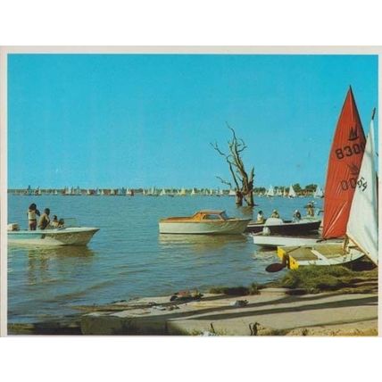 Summer Days in Lake Bonney Barmera South Australia Postcard