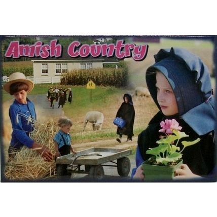 Amish Country Family Fridge Magnet