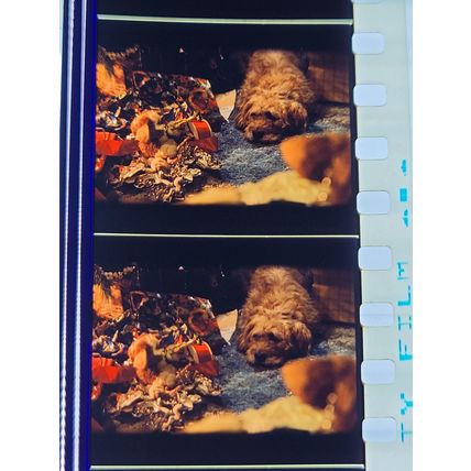 Gremlins. pk DJQ - b 033g. 1 strip of 5 film cells - 35mm