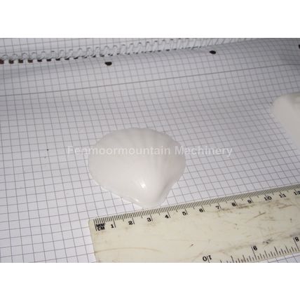 Soap Moulds Hard plastic , scallop motif,guest soap 20g, 15 individual moulds