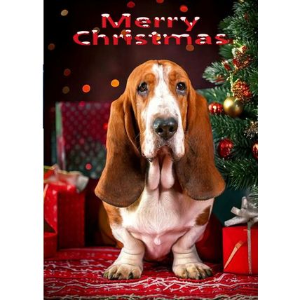 BASSET HOUND CHRISTMAS CARD AS IT IS OR PERSONALISED, TWO DESIGNS