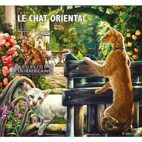 CENTRAL AFRICA 2015 SHEET MNH CHATS ORIENTAL CATS KATZEN GATOS GATTI 5A