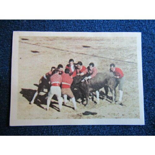 Unusual Sports 1968 ~ Jacques Chocolates Belgium Sports Sticker Variants (e9)