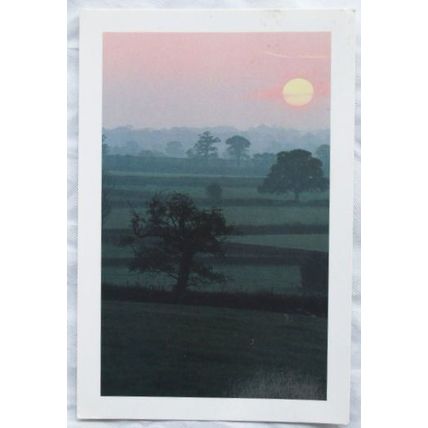 1990 postcard The Blackmoor Vale, Dorset