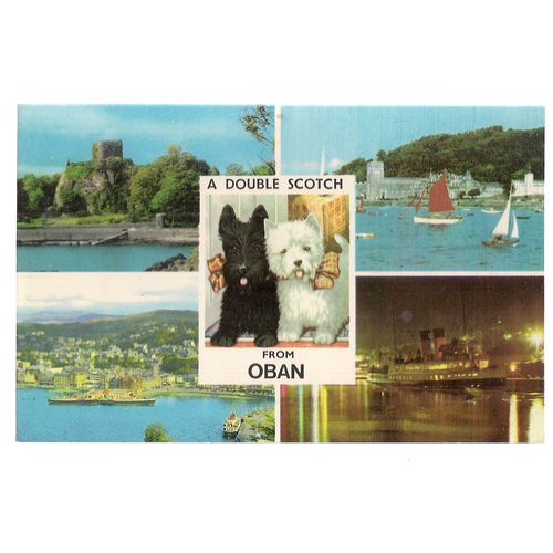 A DOUBLE SCOTCH FROM OBAN, SCOTLAND multiview unused vintage postcard /