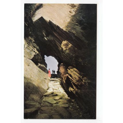 Briery Cave Watermouth Devon Postcard C1