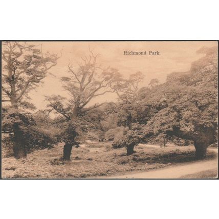 Richmond Park, Surrey, 1915 - Boots Pelham Postcard