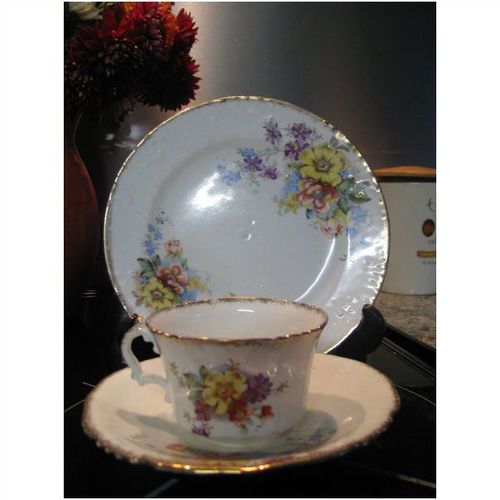 victorian trio cabinet cup and saucer sponged gilt staffordshire possibly