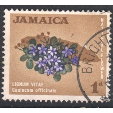 Jamaica 1964 - SG217 - 1d blue/green/brown - "Lignum vitae" - used