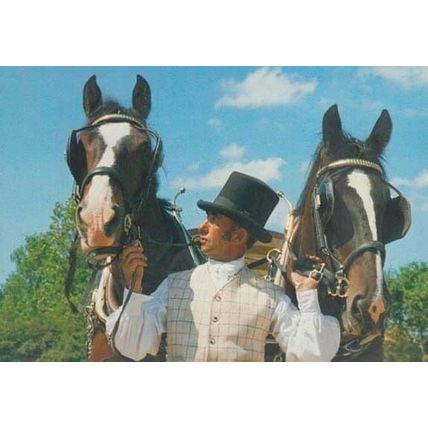 Morwellham Coachman Horse River Victorian Fashion Cottage Exhibit Devon Postcard