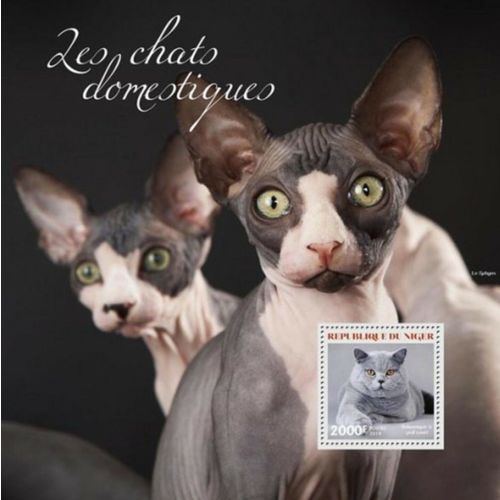 NIGER 2014 SHEET MNH CATS CHATS KATZEN GATOS GATTI 3A