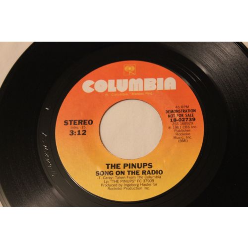 The Pinups Promo 45 & Picture Sleeve-SONG ON THE RADIO STEREO