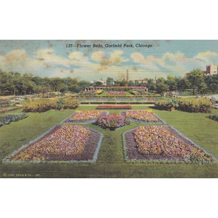 Chicago - Lot of 7 - Linen Era Postcards - Vintage - Conservatory, Tribune Tower