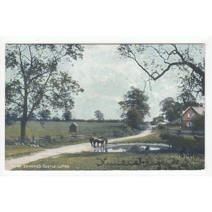 Near Someries Castle Luton Postcard 1906 Bedfordshire Local Publisher W H Cox