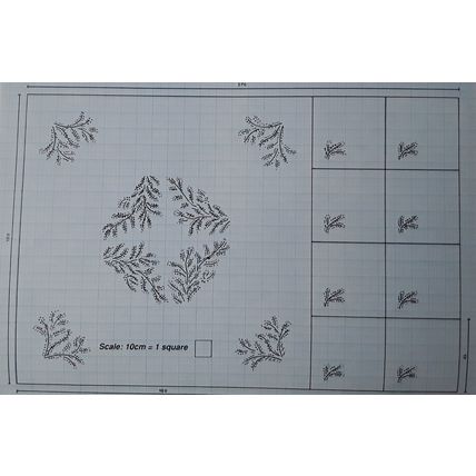 Embroidery transfers Mimosa Sprays for serviette and tablecloth