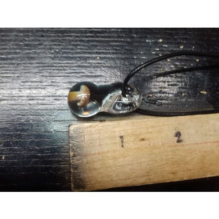 Mushroom Encased in Glass Pendant 1" Costume Jewelry