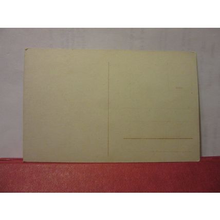 LAS PALMAS DE GRAN CANARIA, SPAIN unused antique postcard #