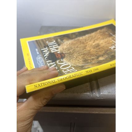 National Geographic Magazine May 1988 Wool - Vintage Collectable p2