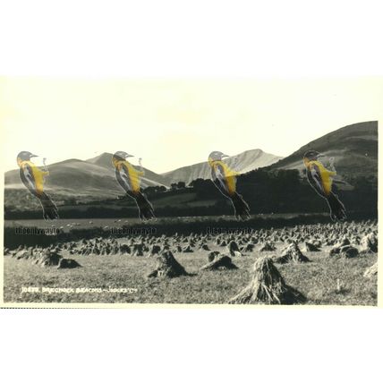 Brecknock Beacons, Wales, RP 10633 Judges Postcard