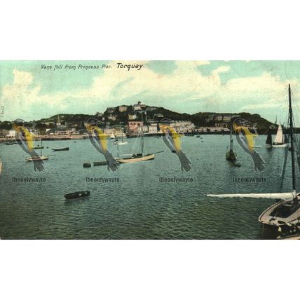 Vane Hill From Princess Pier, Torquay, Cornwall, Hartmann Postcard, 1905