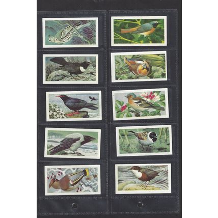 Brooke Bond Original Vintage Full Set of 50 Tea Cards Wild Birds in Britain 1965