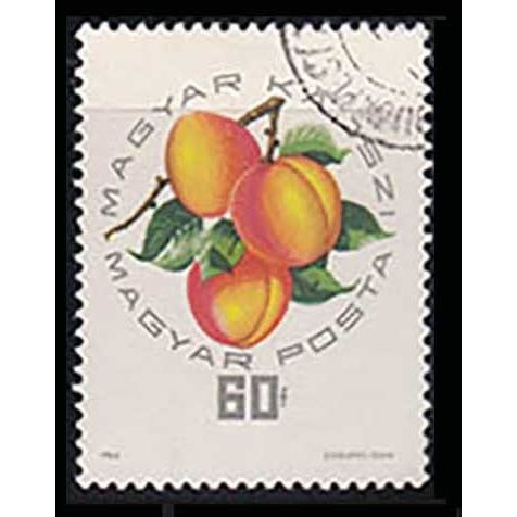 Hungary 1964 Fruit 60f Used Stamp