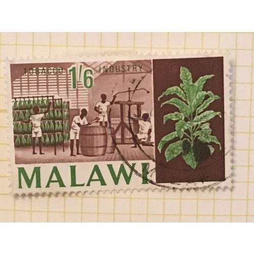 Malawi Queen Elizabeth II 1966 1s 6d Burley Tobacco Used SG 259 Sc 48 stamp #2