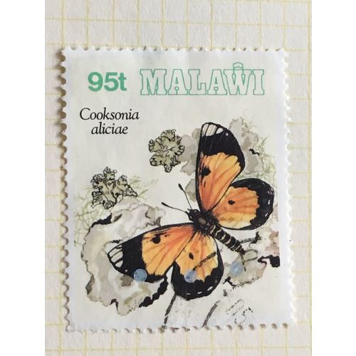 Malawi 1993 Butterflies 95t Cooksonia Aliciae Used SG 915 Sc 618 postage stamp