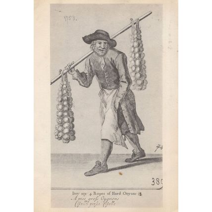 Buy My Hard Onions Old Market Street Trader Engraving Onion Postcard