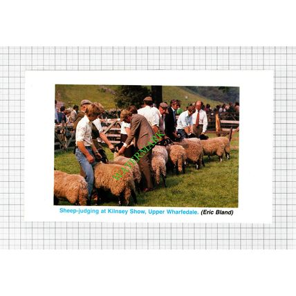 Kilnsey Show Upper Wharfedale - 1988 Cutting