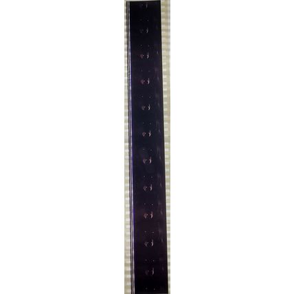 Dracula . Pk AA - A018r. 1 STRIP OF 10 - 35MM FILM CELLS