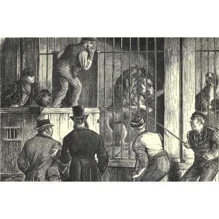 SALE OF A MENAGERIE - ELEPHANTS - LIONS 1872 VICTORIAN ENGRAVINGS