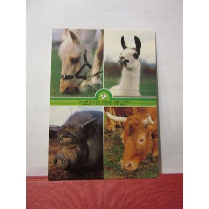 WOOD GREEN ANIMAL SHELTERS, WOOD GREEN, London unused postcard (a) =