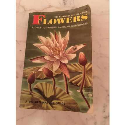 Flowers: A Guide to Familiar American Wildflowers - Paperback, 134 paintings