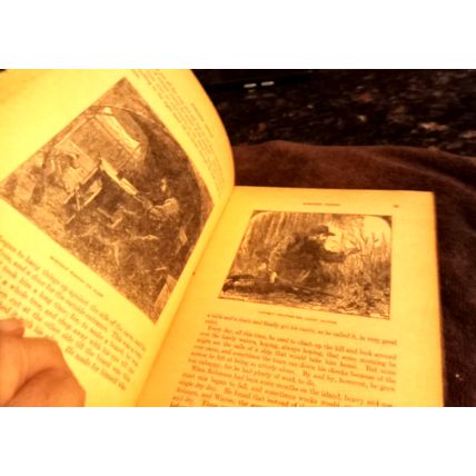 Children's Book Robinson Crusoe &The White Cat By McLoughlin Bros Circa 1900