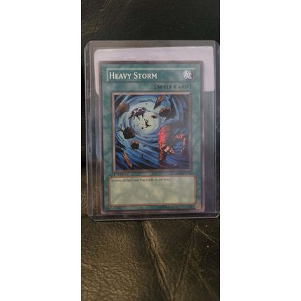 Heavy Storm SD09 - SD09-EN025 - Common - 1st Edition Dinosaur's Rage Yu-Gi-Oh! T