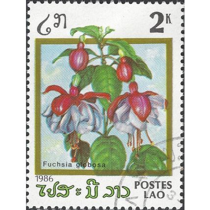 LAOS, FLOWER, Fuschia globusa, green 1986, 2k